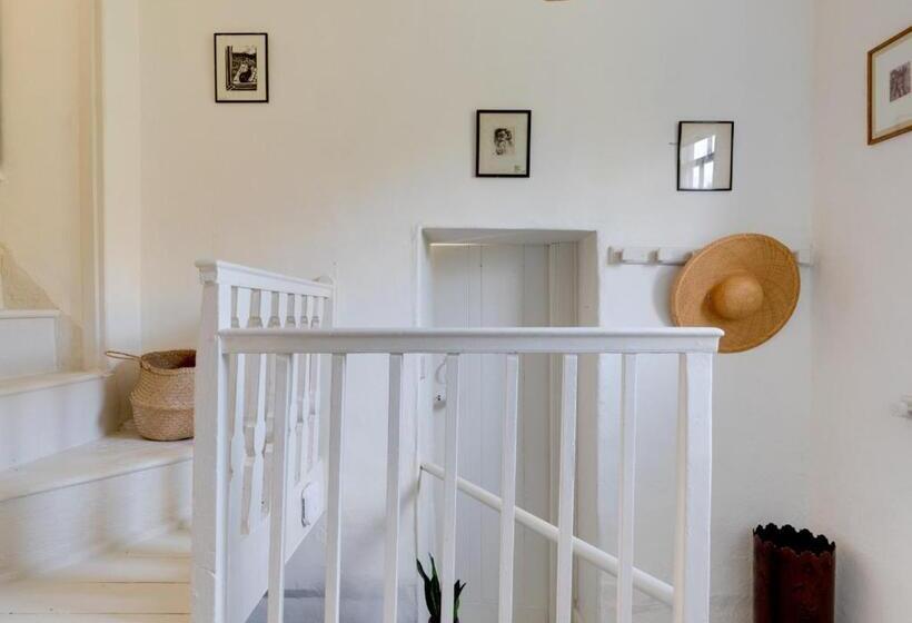 The Artist Studio