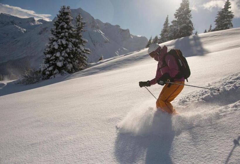 تختخواب و صبحانه Pension Daniel