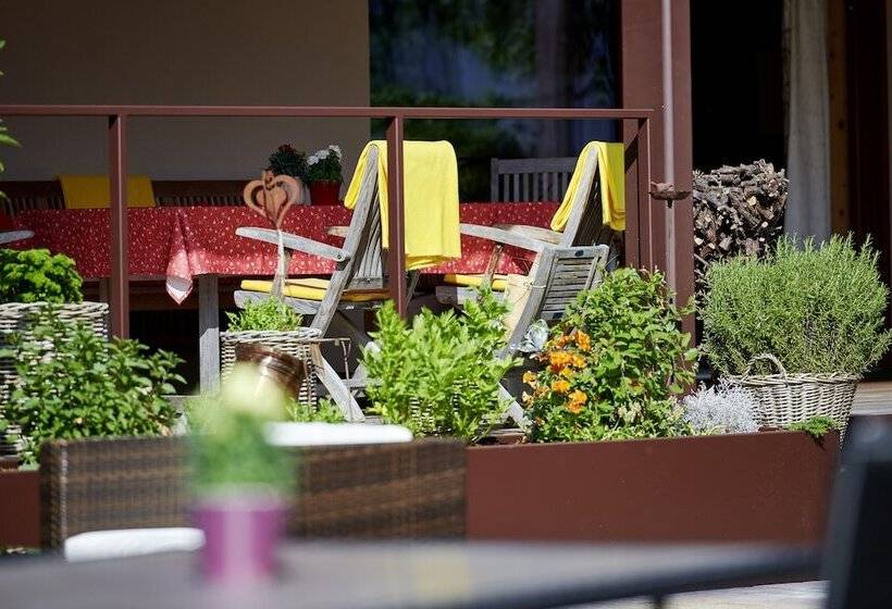 هتل Appartement Roggal