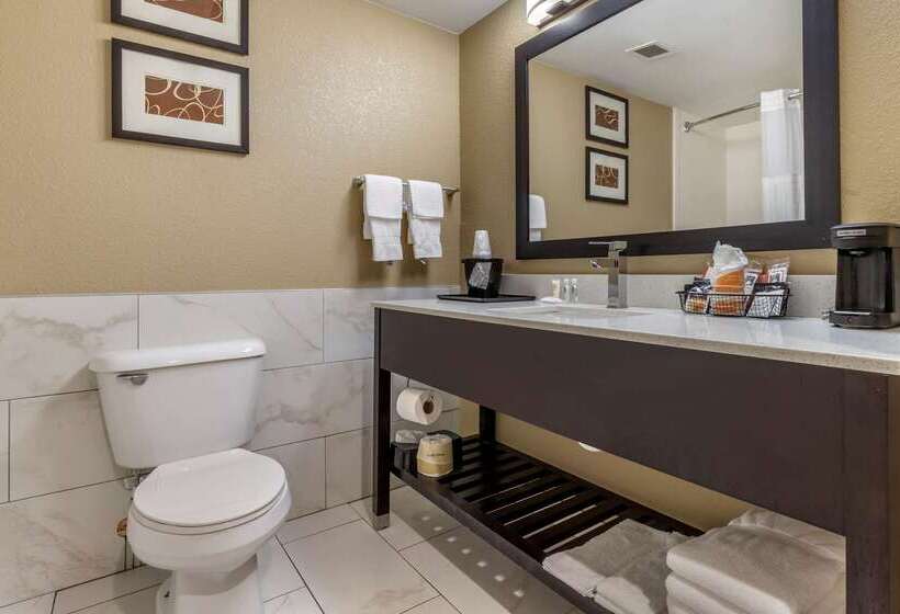 Отель Comfort Inn & Suites Mocksville I 40