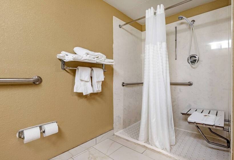 Отель Comfort Inn & Suites Mocksville I 40