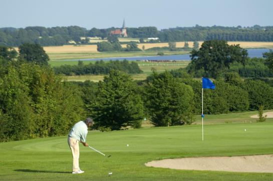 בית מלון כפרי Pronstorfer Krug