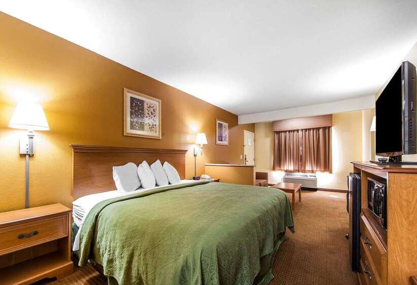 호텔 Quality Inn & Suites