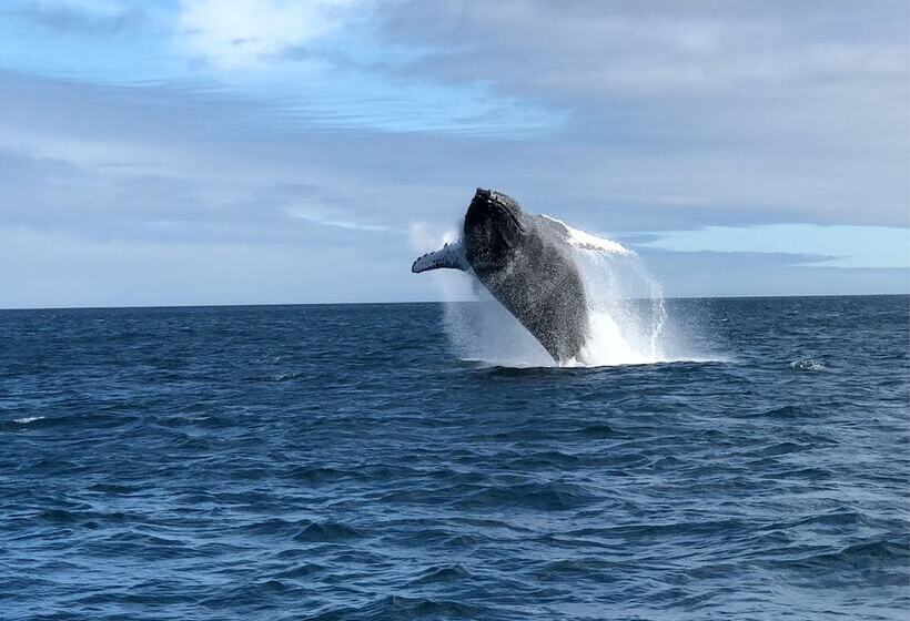 פנסיון On The Beach Guesthouse Jeffreys Bay