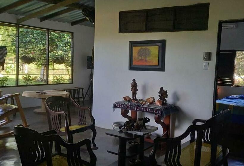 Granja De Búfalos Paz Y Armonía Vida De Campo