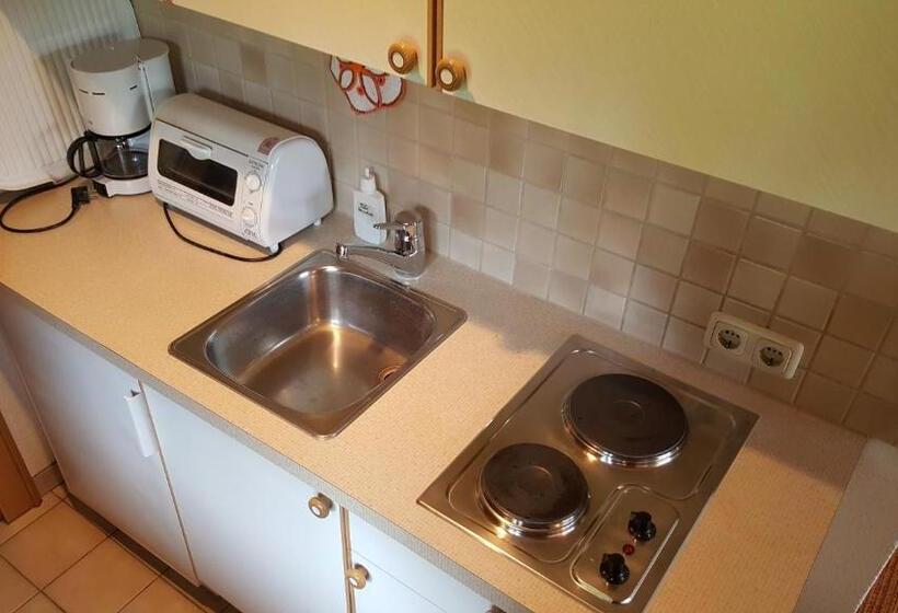 Bed and Breakfast Gasthof Hotel Ifenblick
