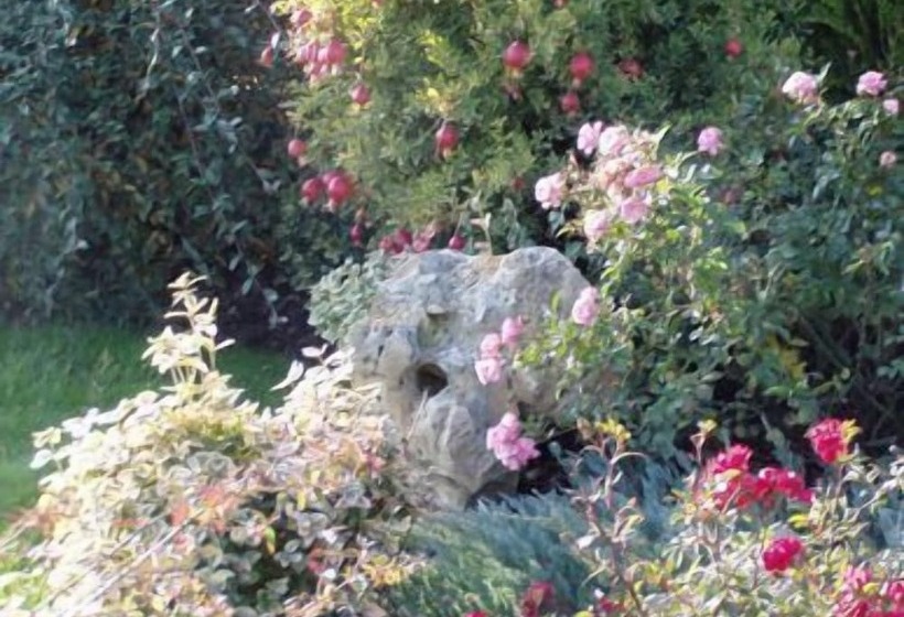 فندق Alla Corte Del Picchio Room & Breakfast