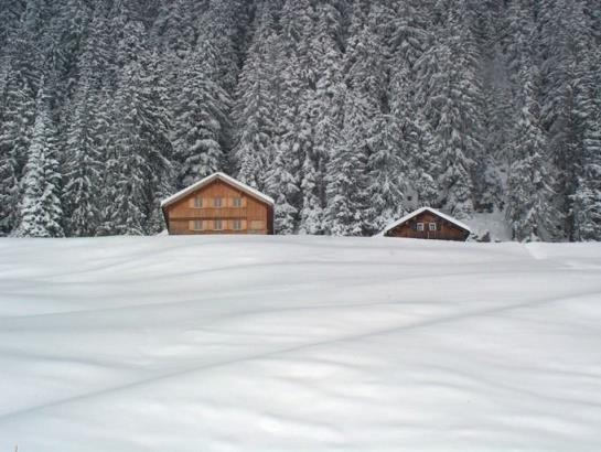 فندق Panoramahuetten Sonderdach