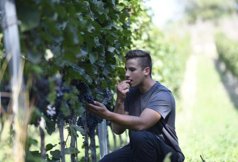 בית מלון כפרי Winzerhof Kiss