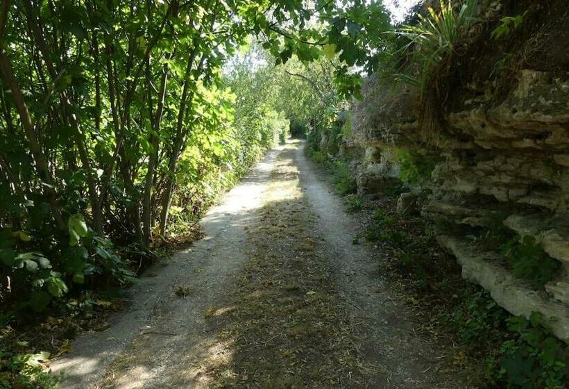 Mas Ancien à Uzès