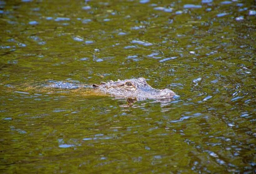 Newly Listed! 20 Percent Off! Golf And Tennis Community   Lavish Living