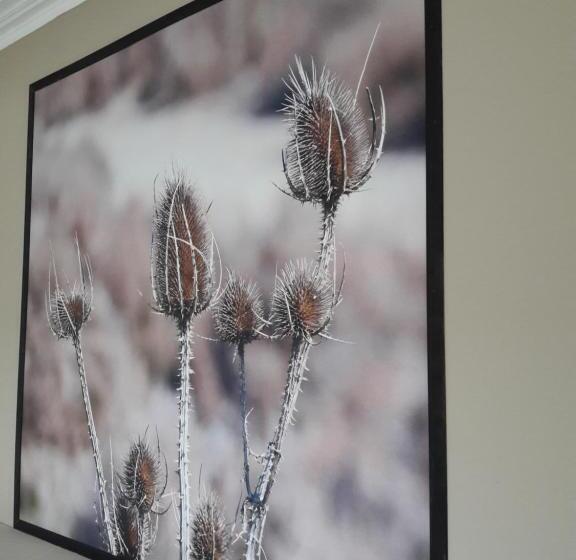 هتل Hôtel Restaurant Chez Carrière