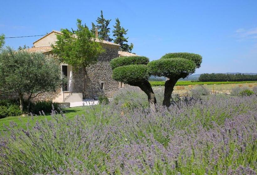 Отель Maison Chenet   Les Chambres Entre Vigne Et Garrigue   Teritoria