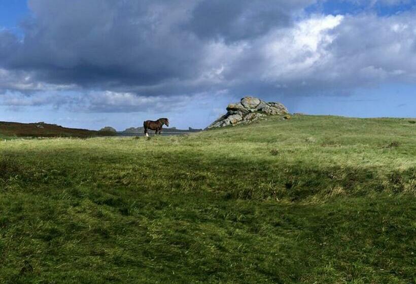 酒店 Logis Le Château De Sable