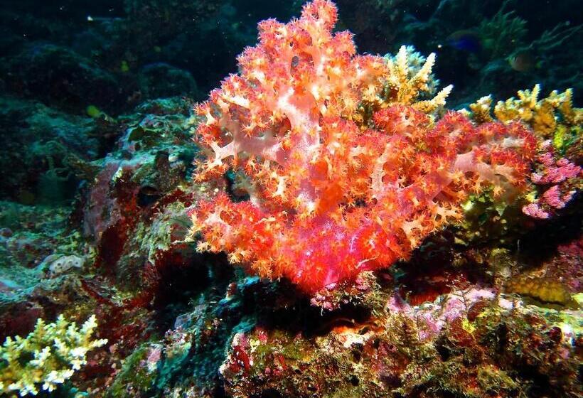 Taveuni Island Resort And Spa