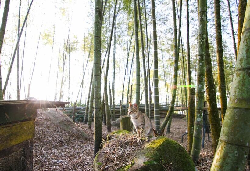 هتل H& Alishan Sunrise B&b