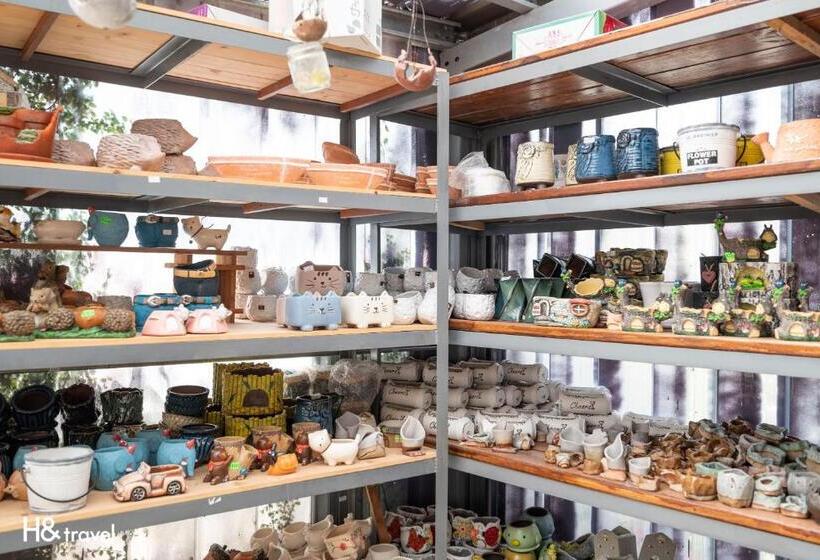 هتل H& Alishan Sunrise B&b