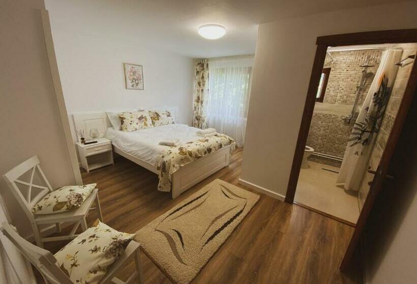 بنسيون Casa Cu Vitralii