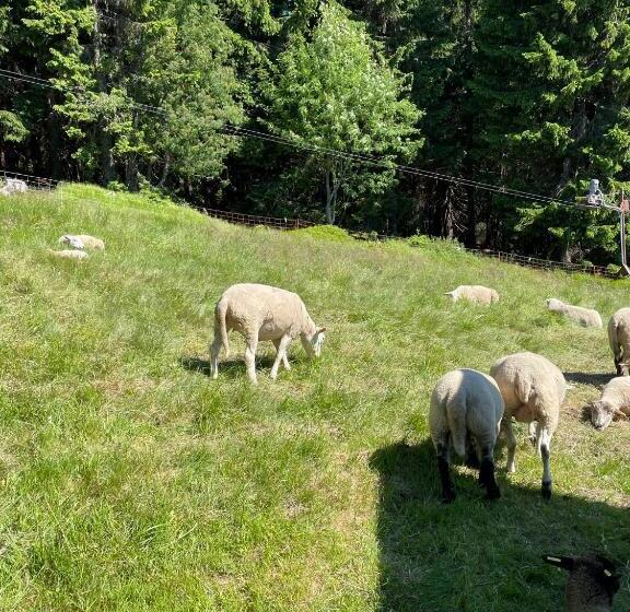 پانسیون Horský Penzion Vebrovy Boudy