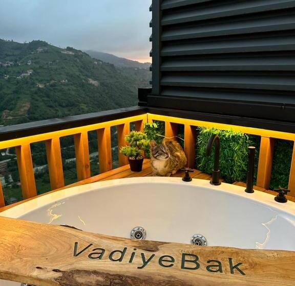 住宿加早餐  Vadiyebak Bungalov