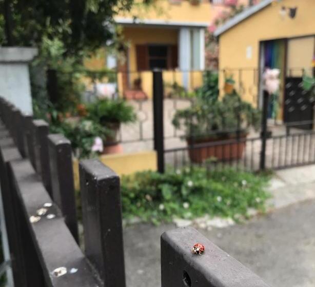 بنسيون Casa Tognetti