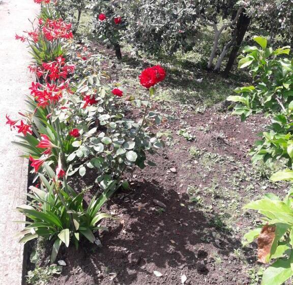 پانسیون Ni  Ke