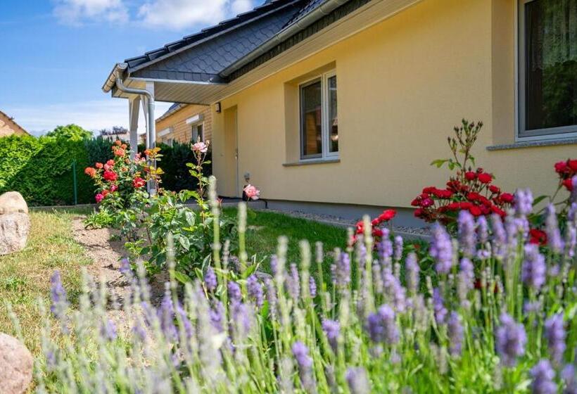 Ferienhaus Storchennest