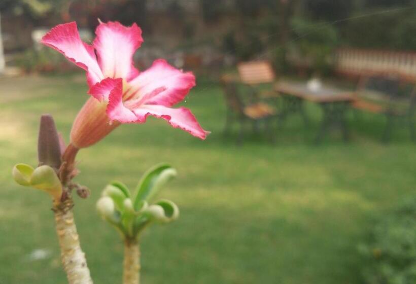 فندق Jai Niwas