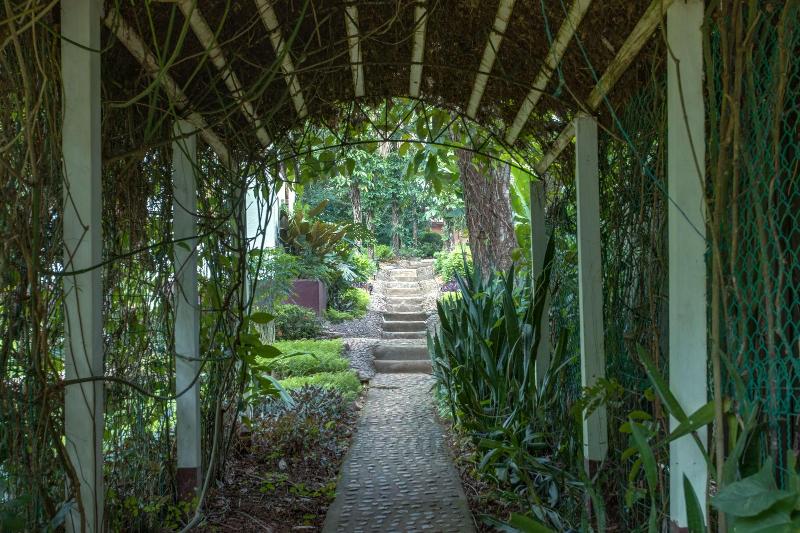 בית מלון כפרי Sweet Songs Jungle Lodge, A Muy’ono Resort