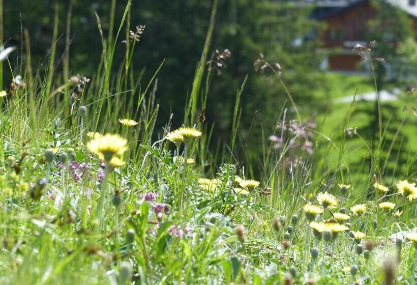 مبيت وإفطار Alpinresortmontafon Garni