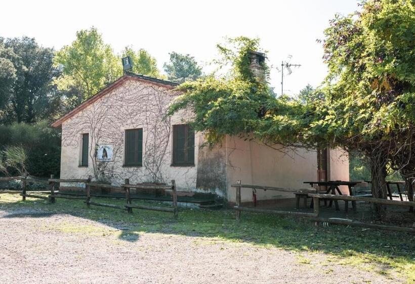 فندق Agriturismo Casal Cerqueto