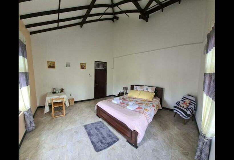 膳宿费 Room In Bb   Ja Elas French Touch