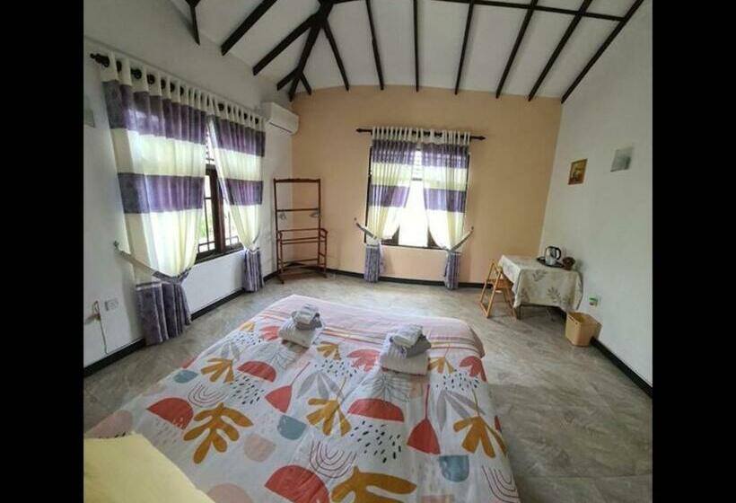 膳宿费 Room In Bb   Ja Elas French Touch