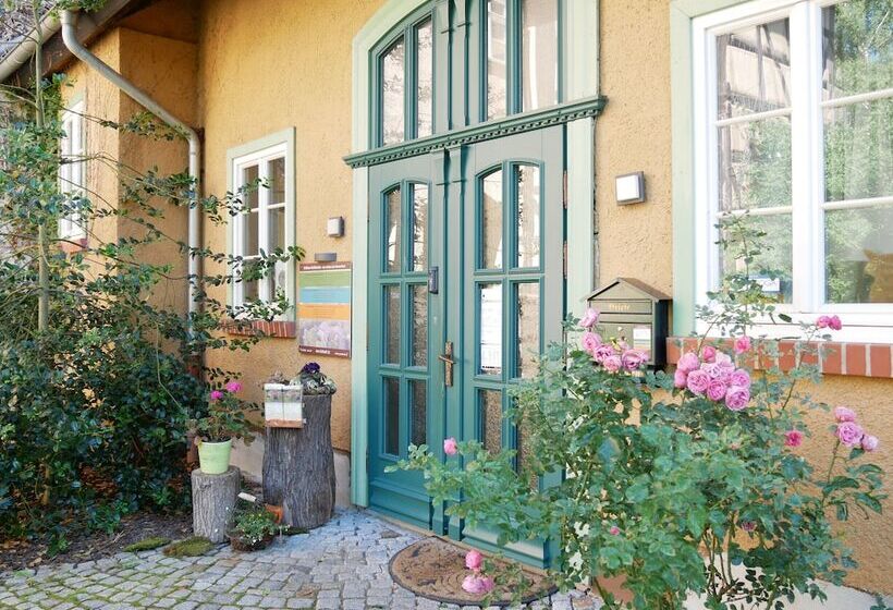 ホテル Schloss Goldacker  Das Schloss Der Gesundheit