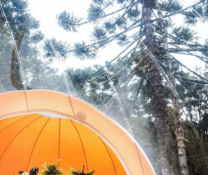 هتل Zion Bubble Glamping