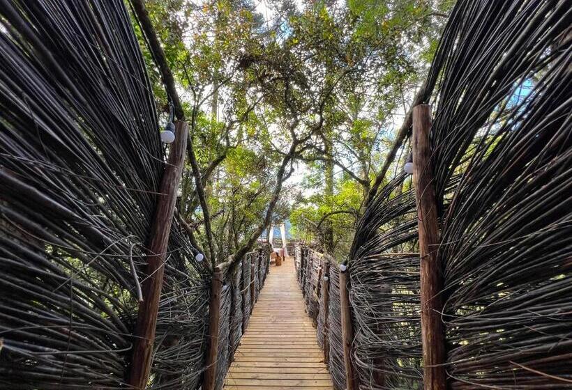 هتل Zion Bubble Glamping