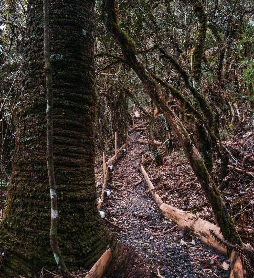 هتل Zion Bubble Glamping