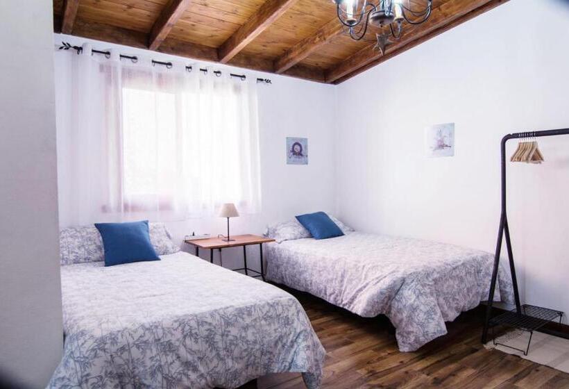 Cozy House Casa Vero Mai Icod De Los Vinos