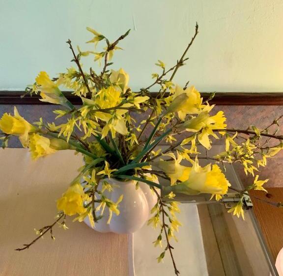 Bluhm S Hotel & Restaurant Am Markt