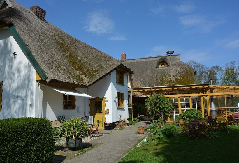酒店 Reethäuser Auf Rügen