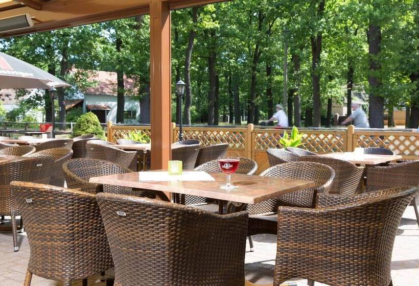 Отель & Gasthaus Zum Eichenkranz