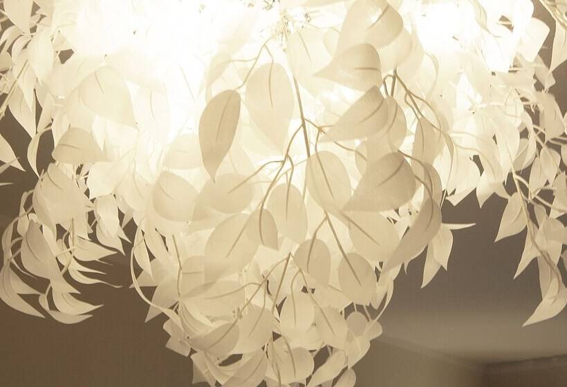 فندق Wittenbeck Resort