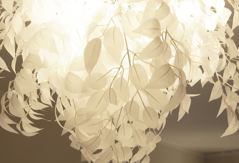 فندق Wittenbeck Resort