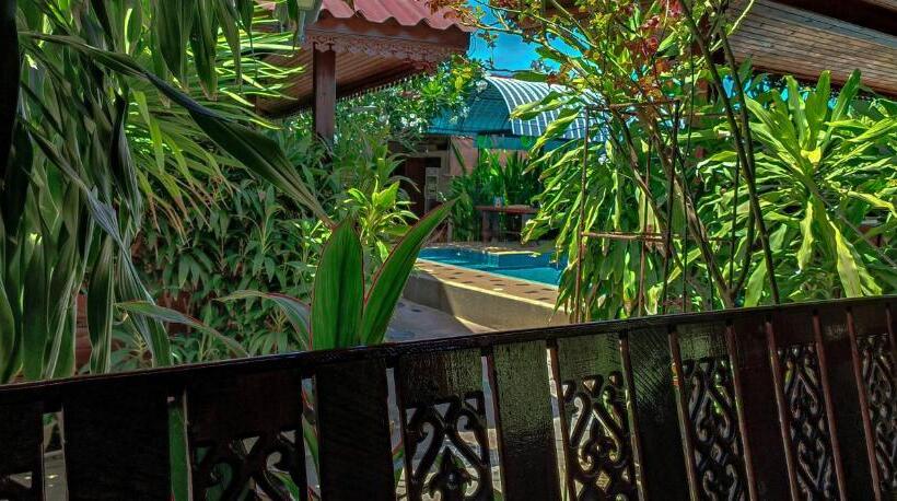 هاستل My Dream House Resort