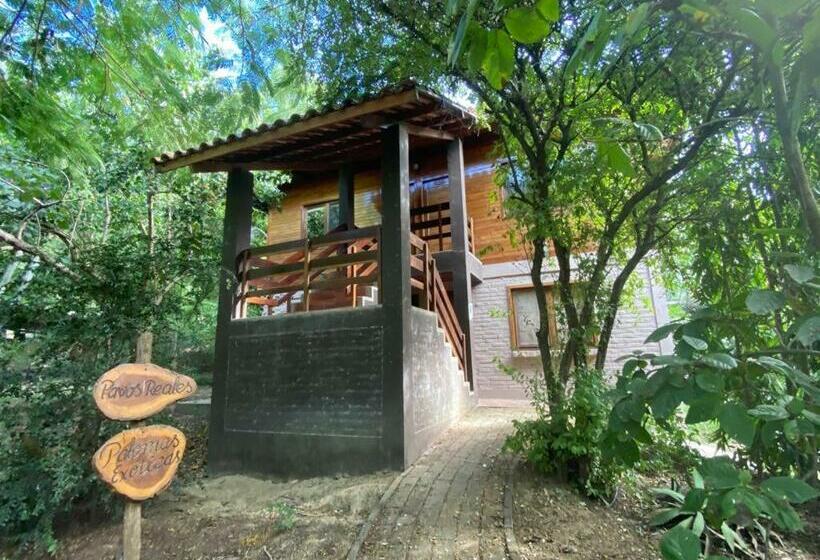 هاستل Saiananda Adventure Eco Lodge