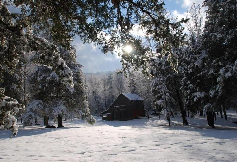 펜션 Shadow Mountain Escape Cabin Rentals