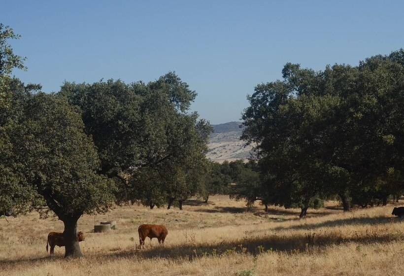 בית מלון כפרי La Dehesa De Don Pedro