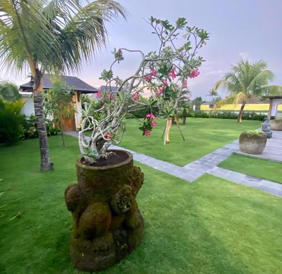 Bed and Breakfast Villa Karma Kama
