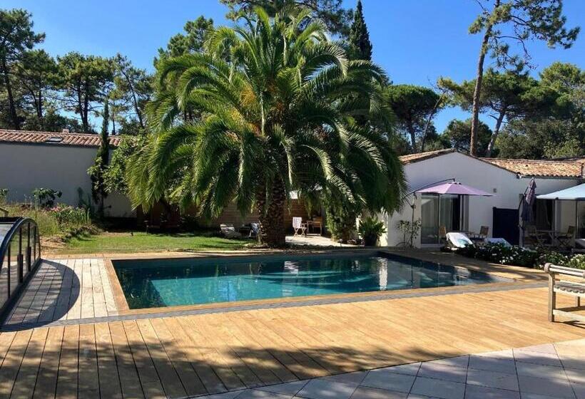 ペンション La Maison De La Dune   Chambres Climatisées   Jacuzzi 1ère Séance Offerte   Piscine Chauffée Avec Ab