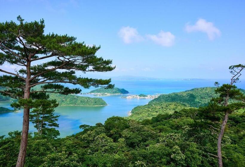 בית מלון כפרי 天  Tin